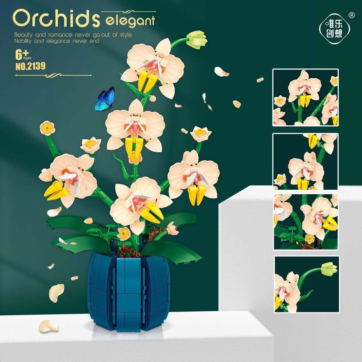 Orchid Kids Education - Bunga balok bangunan anggrek, aksesori Dekor