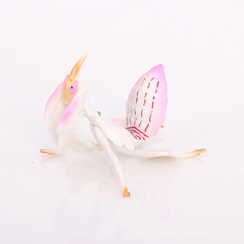 Orchid Kids Education - Model Mainan Hewan Realistis Patung Resin