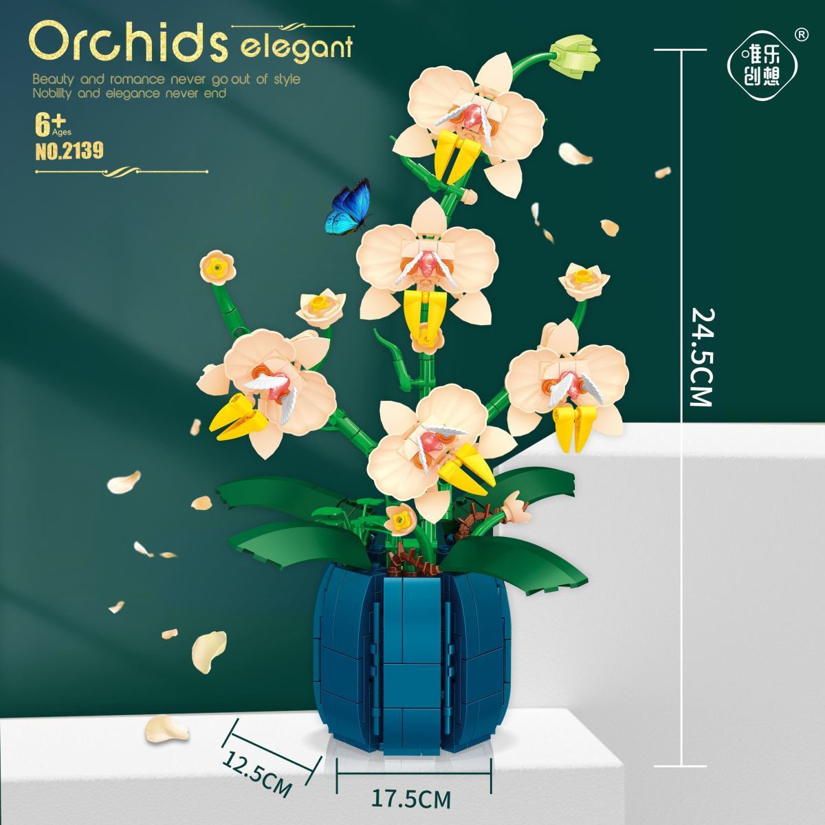 Bunga balok bangunan anggrek,  - Orchid Kids Education ulasan dan harga