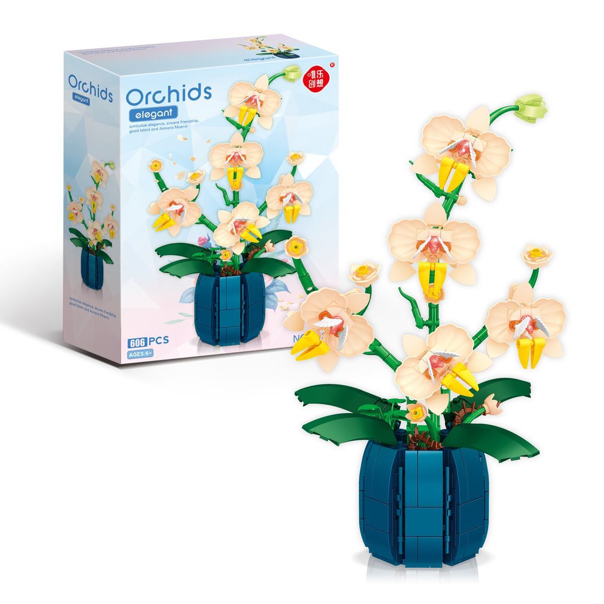 Bunga balok bangunan anggrek,  - Orchid Kids Education ulasan dan harga